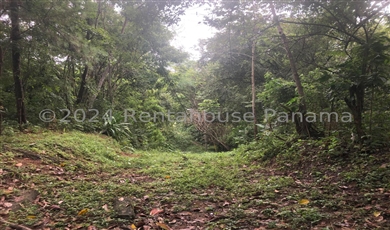 Land for Sale in Panama City Panamá Province 07104